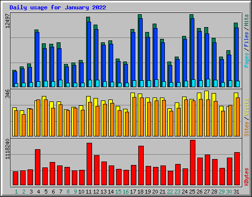 Daily usage for January 2022