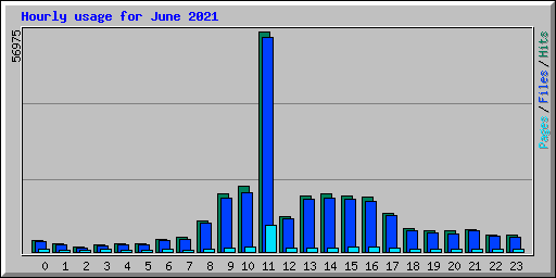 Hourly usage for June 2021