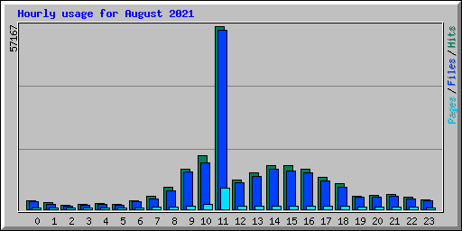 Hourly usage for August 2021