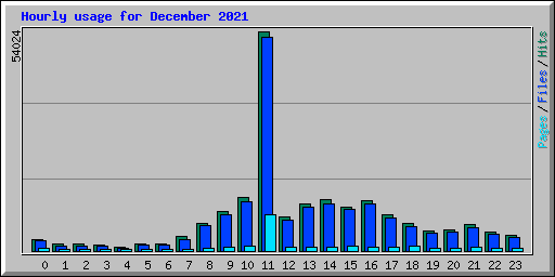 Hourly usage for December 2021