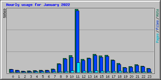 Hourly usage for January 2022